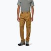 Мъжки панталони за трекинг Salewa Puez Hemp/Dst 2/1 golden brown