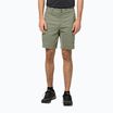 Къси панталони за трекинг за мъже Jack Wolfskin Activate Tour green 1507441