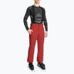 Мъжки скиорски панталони Descente Swiss electric red