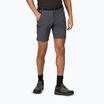 Мъжки къси панталони Regatta Xert Stretch III seal grey trekking