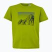 Детска тениска REGATTA Alvarado IX grenoble green