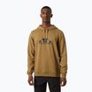 Мъжки суитшърт Helly Hansen Nord Graphic Pull Over Hoodie lynx