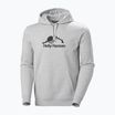 Мъжки Helly Hansen Nord Graphic Pull Over Hoodie grey melang