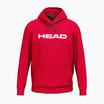 Мъжки суитшърт HEAD Club Original Hoodie red