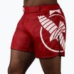 Мъжки тренировъчни шорти Hayabusa Icon Mid-Thigh MMA червено/бяло