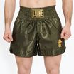 Мъжки боксови шорти LEONE 1947 Basic 2 green