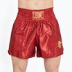 Мъжки боксови шорти LEONE 1947 Basic 2 red