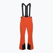 Мъжки скиорски панталони EA7 Emporio Armani Ski Kitzbuhel Protectum summer fig