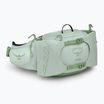 Osprey Tempest 6 л фрости мента / зелена ботаника бъбрек