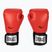 Everlast Pro Style 2 червени боксови ръкавици EV2120 RED