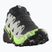 Мъжки обувки за бягане Salomon Speedcross 6 GTX black/alloy/green gecko