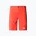 Мъжки къси панталони за трекинг The North Face Speedlight Slim Tapered червени NF0A826915Q1