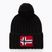 Мъжка зимна шапка Napapijri Semiury 5 black