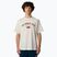 Мъжка тениска The North Face Varsity Graphic white dune