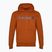 Мъжки суитшърт Timberland Linear Logo Hoodie umber