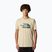 Мъжка тениска The North Face Mountain Line Tee с гравий