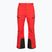 Мъжки скиорски панталони The North Face Chakal Regular elevation red