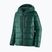 Мъжко пухено яке Patagonia Fitz Roy Down Hoody cascade green