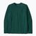 Мъжка блуза с дълъг ръкав Patagonia P-6 Logo Responsibili cascade green