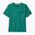 Мъжка тениска Patagonia '73 Skyline gem green