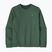 Мъжки суитшърт Patagonia Fitz Roy Massif Daily Crew Canopy Green