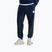 Мъжки панталони за бягане The North Face Evo Box Half Dome Regular Tappered summit navy
