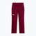 Дамски скиорски панталони The North Face Lenado burgundy crush