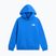 Детски суитшърт The North Face Evolution Box NSE Pullover Hoodies active blue