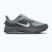 Мъжки обувки за бягане Nike Pegasus Premium wolf grey/cool grey/anthracite/sail
