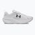 Дамски обувки за бягане Under Armour Assert 11 white/black/distant grey