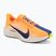 Мъжки обувки за бягане Nike Pegasus Plus laser orange/alabaster/sail/indigo burst