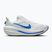 Мъжки обувки за бягане Nike Winflo 12 white/off white/lapis/blue crystal