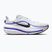 Мъжки обувки за бягане  Nike Winflo 12 off white/white/wolf grey/black