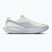 Мъжки обувки за бягане Nike Revolution 8 summit white/white/metallic silver