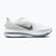 Мъжки обувки за бягане  Nike Pegasus Premium white/hydrogen blue/aluminum/grey fog