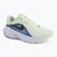 Мъжки обувки за бягане Nike Downshifter 14 colt tint/white/black/black spruce