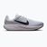 Мъжки обувки за бягане  Nike Quest 7 pure platinum/white/wolf grey/black