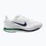 Мъжки обувки за бягане  Nike Pegasus Premium white/midnight navy/green spark