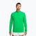 Мъжки суитшърт за бягане Nike Stride 1/4 Zip Dri-Fit green spark