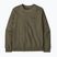 Мъжки суитшърт Patagonia Daily Crew basin green