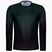 Мъжко колоездачно трико ASSOS Trail Jersey T3 LS green 51.24.210.6F