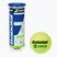 Топки за тенис Babolat Green 3 бр. yellow
