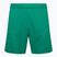 Capelli Sport Cs One Adult Match зелено/бяло детски футболни шорти