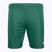 Capelli Sport Cs One Youth Мач зелено/бяло детски футболни шорти