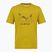 Мъжка тениска Salewa Eagle Geometric olive oil