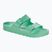 BIRKENSTOCK Arizona EVA Regular джапанки bold jade