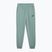 Мъжки панталони PUMA ESS No. 1 Logo Sweatpants TR CL green moon