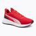 Обувки за бягане Puma Flyer Lite 3 puma black/for all time red