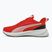 Обувки за бягане Puma Flyer Lite 3 puma black/for all time red