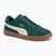 Мъжки обувки PUMA Club II Era Suede dark myrtle/alpine snow/gum